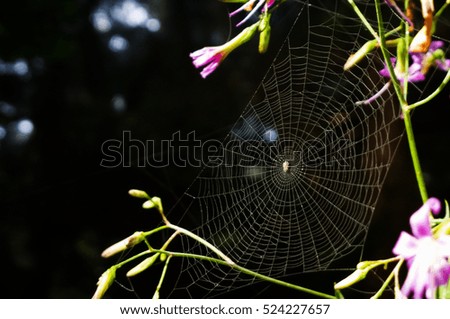 Similar – Image, Stock Photo signs of life Environment