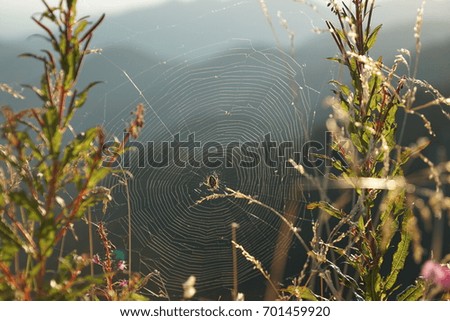 Foto Bild ‚Der da oben‘ is watching you