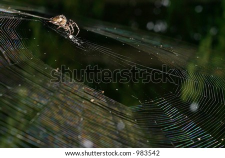 Similar – Image, Stock Photo Sandy Cheeks Environment