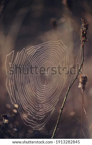 Similar – Foto Bild still ruht der see See