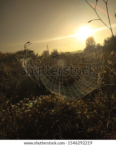 Similar – Berkeley Sunset