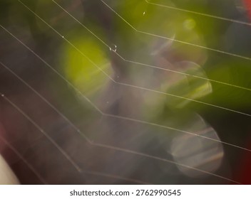 Spider web - bokeh background concept