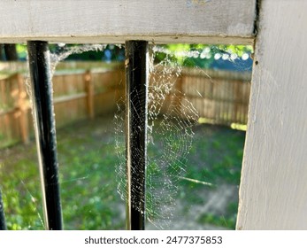 Spider web catches sunlight on warm summer afternoon in the backyard of Cincinnati, Ohio home - Powered by Shutterstock