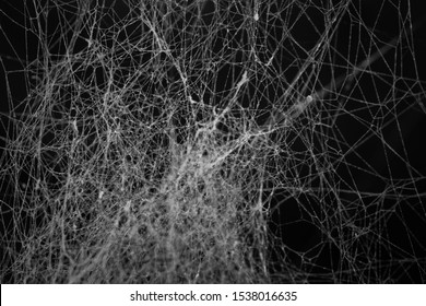 Spider web or cob web texture