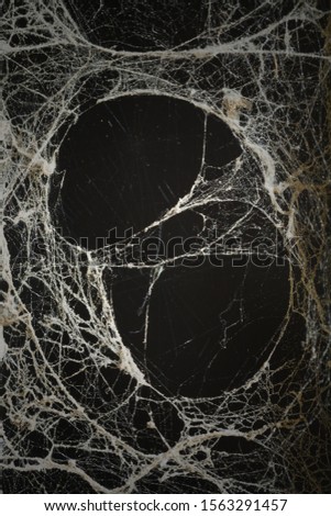 Spider web or cob web texture on black background
