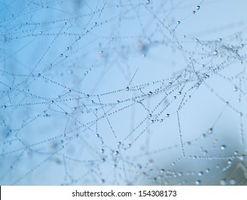 The Spider Web (cobweb) Closeup Background. Abstract  Background: Blue Water Drops In The Morning. 