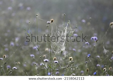 Similar – Image, Stock Photo antisnow army