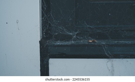 spider web, cobweb on window sill outside the building, abandoned outdoor window sill, dirty outdoor window and walls.