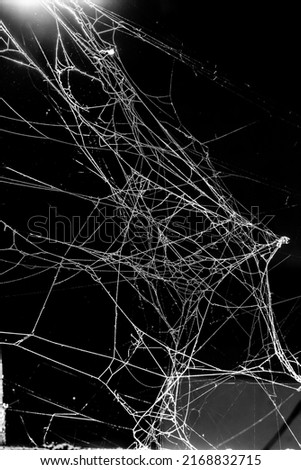 spider web dark background,abstract cool photo