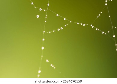 Spider Web with Dew Drops and Bokeh on Green Pink Background – Macro Nature Abstract Texture. Macro photo of a delicate spider web covered with dew drops on a green-pink background. The dew forms smal