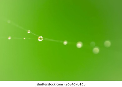 Spider Web with Dew Drops and Bokeh on Green Pink Background – Macro Nature Abstract Texture. Macro photo of a delicate spider web covered with dew drops on a green-pink background. The dew forms smal