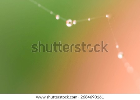 Spider Web with Dew Drops and Bokeh on Green Pink Background – Macro Nature Abstract Texture. Macro photo of a delicate spider web covered with dew drops on a green-pink background. The dew forms smal