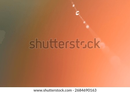 Spider Web with Dew Drops and Bokeh on Green Pink Background – Macro Nature Abstract Texture. Macro photo of a delicate spider web covered with dew drops on a green-pink background. The dew forms smal