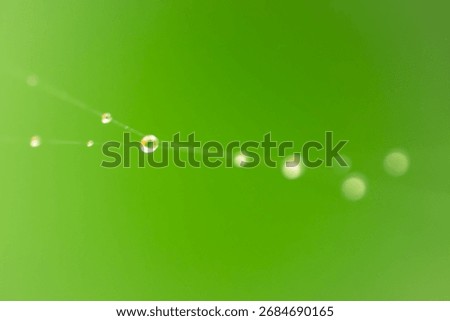 Spider Web with Dew Drops and Bokeh on Green Pink Background – Macro Nature Abstract Texture. Macro photo of a delicate spider web covered with dew drops on a green-pink background. The dew forms smal