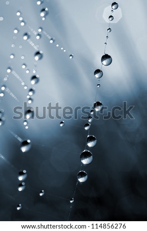 Similar – Image, Stock Photo fluid Water Drops of water