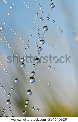 Similar – Image, Stock Photo fluid Water Drops of water