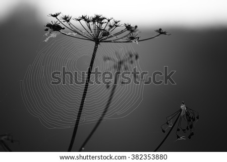 Similar – bottrop Nature Landscape