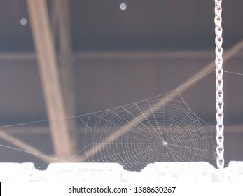 Spider Web In A Factory Window