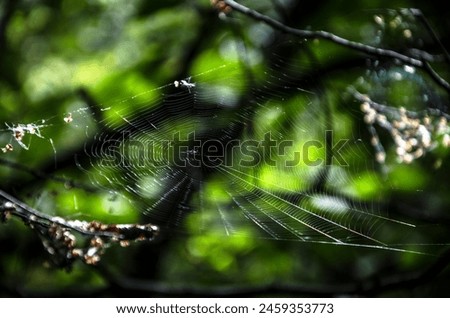 Similar – Image, Stock Photo Sandy Cheeks Environment