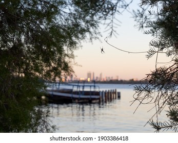 690 Spider web zoomed Images, Stock Photos & Vectors | Shutterstock