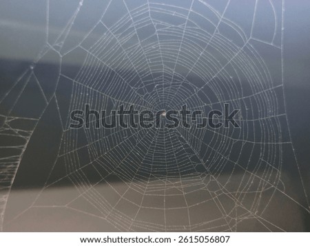 spider web inside the building and light lamp