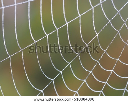 Similar – Image, Stock Photo wire mesh fence Deserted