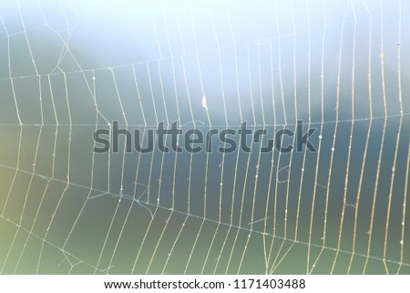 Similar – Image, Stock Photo Around the world in 30 days