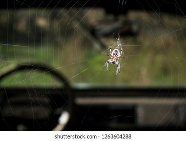 8,129 Spider Car Images, Stock Photos & Vectors | Shutterstock