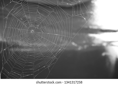 Spider Web On Battleship NC Boardwalk