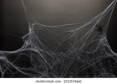 1,492 Corner Cobwebs Stock Photos, Images & Photography | Shutterstock