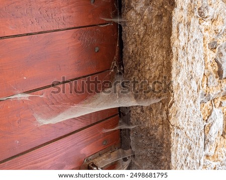 Spider web on the corner of an abandoned house, uninhabited building, homeless people, war, emigration, immigration