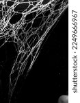 spider web on a dark background