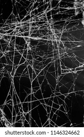 Spider Web On A Dark Background