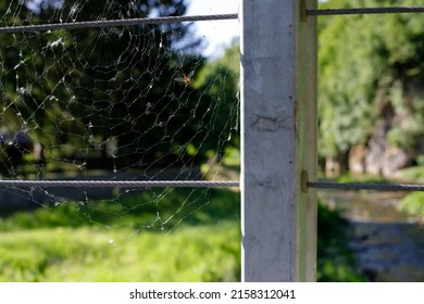 Spider web on the fence of the suspension bridge.
