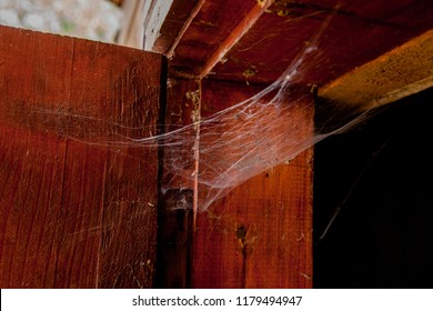 Spider Web On The Old Window Frame Or Door