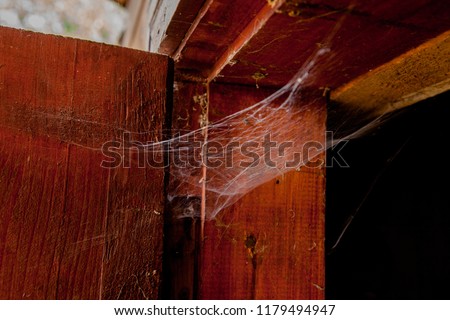 spider web on the old window frame or door