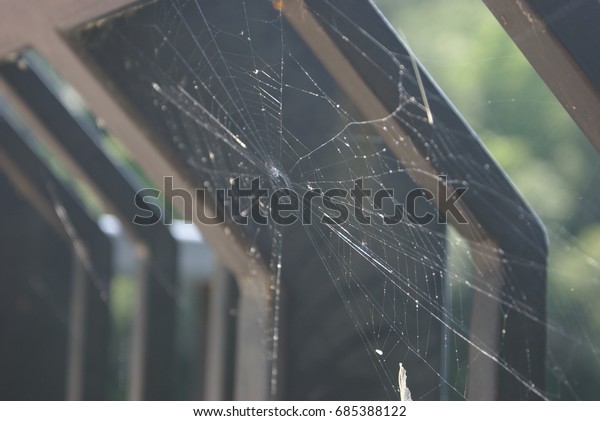Spider Web On Railing Stock Photo 685388122 | Shutterstock