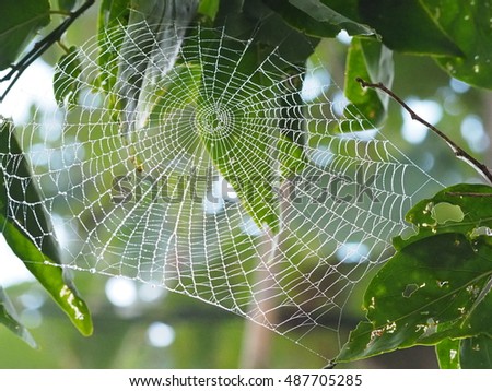 Similar – Image, Stock Photo Looking up in the beer garden