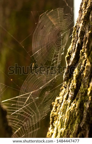 Similar – Irish river Natur