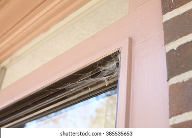 Spider Web On Window Sliding Door