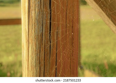 Spider web on a wooden post. - Powered by Shutterstock