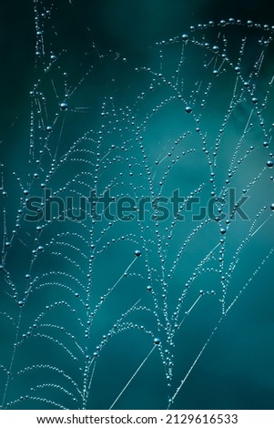 Spider Web Pattern Design Blue Background