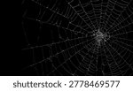 Spider Web Pattern for Halloween and Spooky Themes