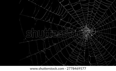 Spider Web Pattern for Halloween and Spooky Themes