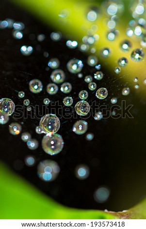 Similar – Image, Stock Photo Ocean of Tears