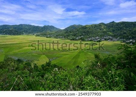 Spider Web Rice Fields or Paddy in Lingko Cara, Cancar, Flores, Indonesia