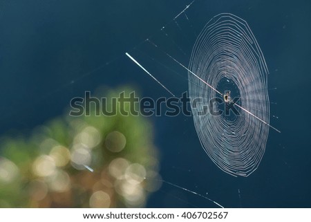 Similar – Image, Stock Photo blue hour Nature Plant Air