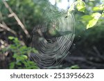 A spider web, spiderweb, or cobweb (from the archaic word coppe, meaning "spider") is a structure created by a spider out of proteinaceous spider silk extruded from its spinnerets. catch prey