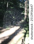 A spider web, spiderweb, or cobweb (from the archaic word coppe, meaning "spider") is a structure created by a spider out of proteinaceous spider silk extruded from its spinnerets. catch prey