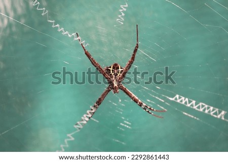A spider web, spiderweb, spider's web, or cobweb is a structure created by a spider out of proteinaceous spider silk extruded from its spinnerets, generally meant to catch its prey. 